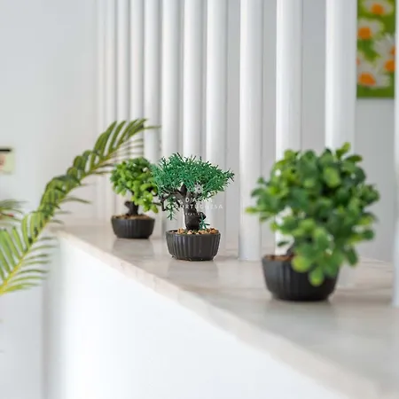 Apartman Downtown - By D'alma Portuguesa *